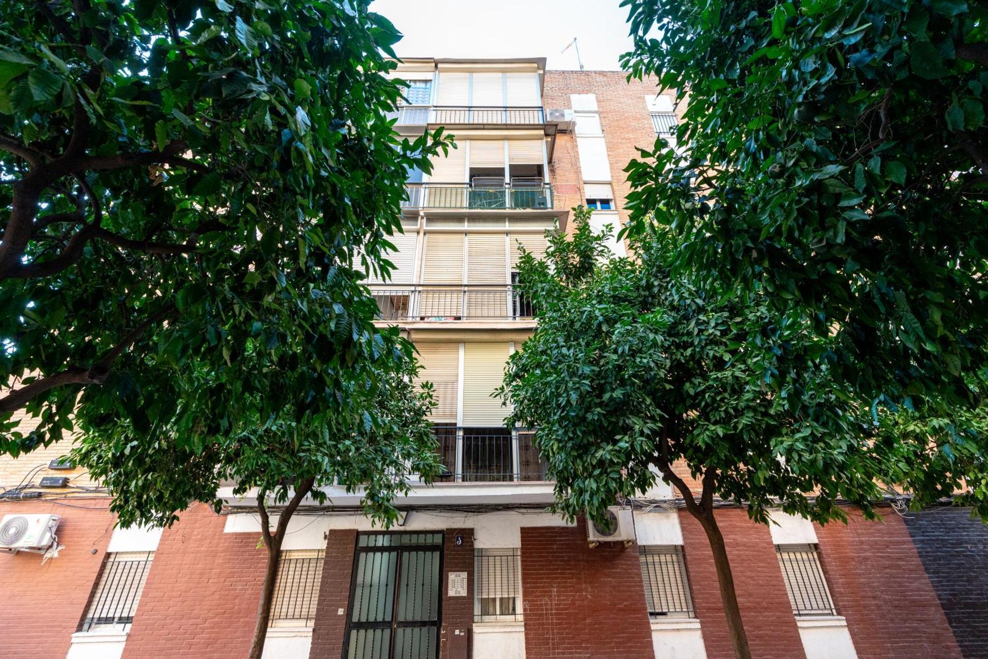 Piso Elegante Y Nuevo De 3 Habitaciones Y 2 Banos Sevilla Exteriör bild